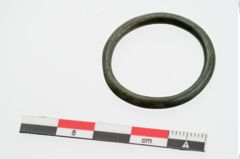 Foto von Bronzering (NHMW-PRAE-024148)